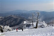 snow 4769233 960 720