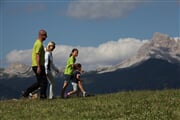 IMG 3184