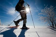 snowshoes walks Dolomiti 