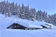 IMG 9593