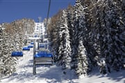 SkiareaCampiglio Folgarida&Marilleva Winter 24