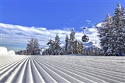 SkiareaCampiglio Folgarida&Marilleva Winter 40