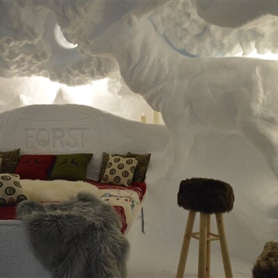 Igloo rooms