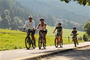PontedilegnoTonale Bike Ciclabile