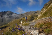 PontedilegnoTonale Bike PassoGavia