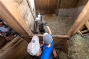 PontedilegnoTonale AdamelloCard fattoria capre famiglia