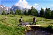 Val di Peio Campo di Comasine Ph  G.Bernardi