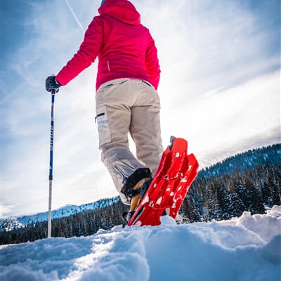 Win ciaspole passo coe febbraio 2021 Gober 12