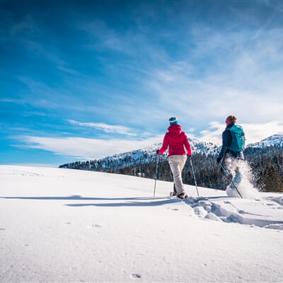 Win ciaspole passo coe febbraio 2021 Gober 13