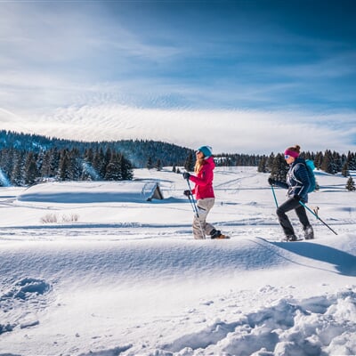 Win ciaspole passo coe febbraio 2021 Gober 4