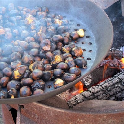 pr s places copyright tvb kronplatz photo archive 20141028 1397 bruneck brunico stegener markt mercato di stegona small