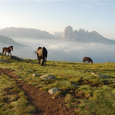 valgardena.it Rasciesa