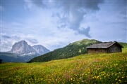 valgardena.it Sassolungo