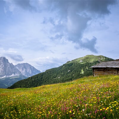 valgardena.it Sassolungo