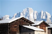 Bellamonte FEDMOD0022