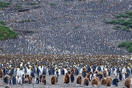 Atlantic Odyssey, excl. Antarctic Peninsula (m/v Hondius)