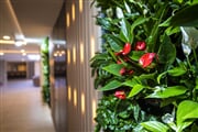 Green wall