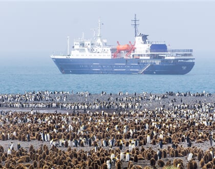 Penguins waiting in line to board Ortelius Anne Haraldsted