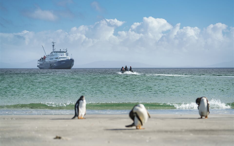 Falklands, South Georgia, Ant Peninsula © Fotografie Dietmar Denger Oceanwide Expeditions37.jpg Dietmar Denger