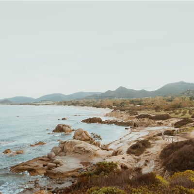 matteo miliddi yjrXe2jfqDc unsplash