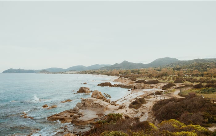 matteo miliddi yjrXe2jfqDc unsplash