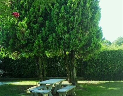 Sayonara villa Lignano Sabbiadoro leto2021 (8)