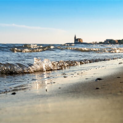 marespiagge conchiglie