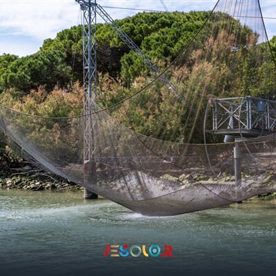 142799384 241498000761486 5899425939459119059 n