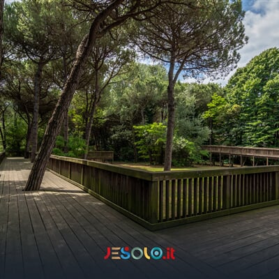 143159235 241504700760816 1073882241028643738 n