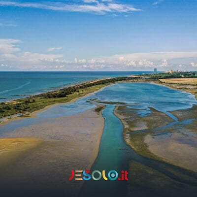 143328362 241504617427491 6258993050053289559 n