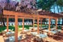 Sol-Aurora-Bars-Restaurants-1