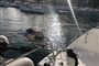 Yacht image
