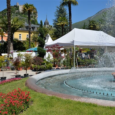 O©R4 Arcobonsai2014©RobertoVuilleumier IngardaTrentino