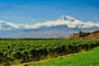 Foto - Arménie - Gruzie (wine & Brandy Tour)