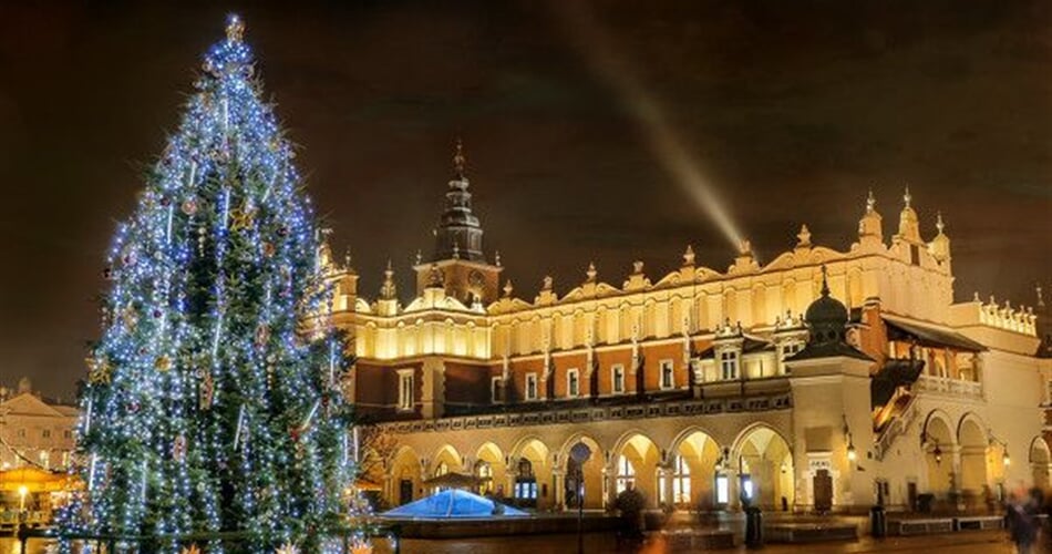 11 - tour - 1543328318.71786.jpg600x400 6630 l