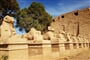 Luxor (4)