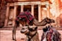 Petra (2)