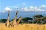 Foto - Keňa - volání divočiny
