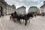 Vídeňský fiakr v historickém centru Vídně