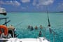 Yacht image