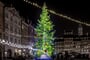 christmas-tree-3881255