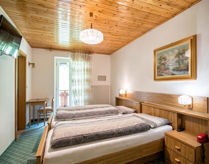 hotel Albergo Panorama Panchia Ignas (7)