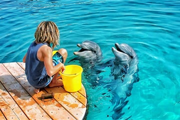 Eilat (12)