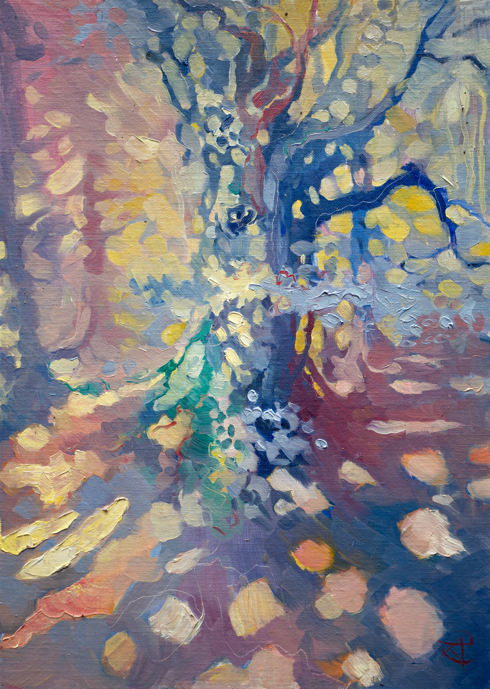 Adéla Topolová: Strom světel, 35 × 25 cm