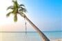 Maledivy_Cokes beach_1-72a08e5c03a7