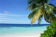 Maledivy-Cokes beach_2-8216bfdf89a7