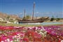 Muscat (12)