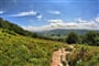 Bieszczady