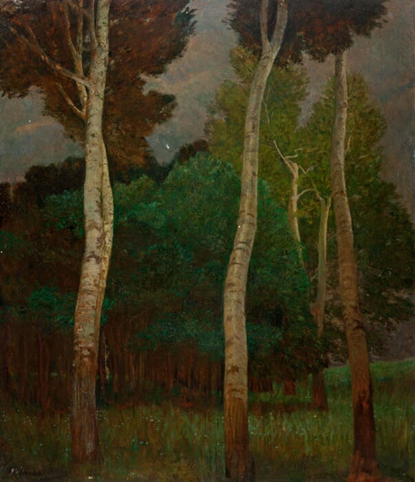 Před bouří