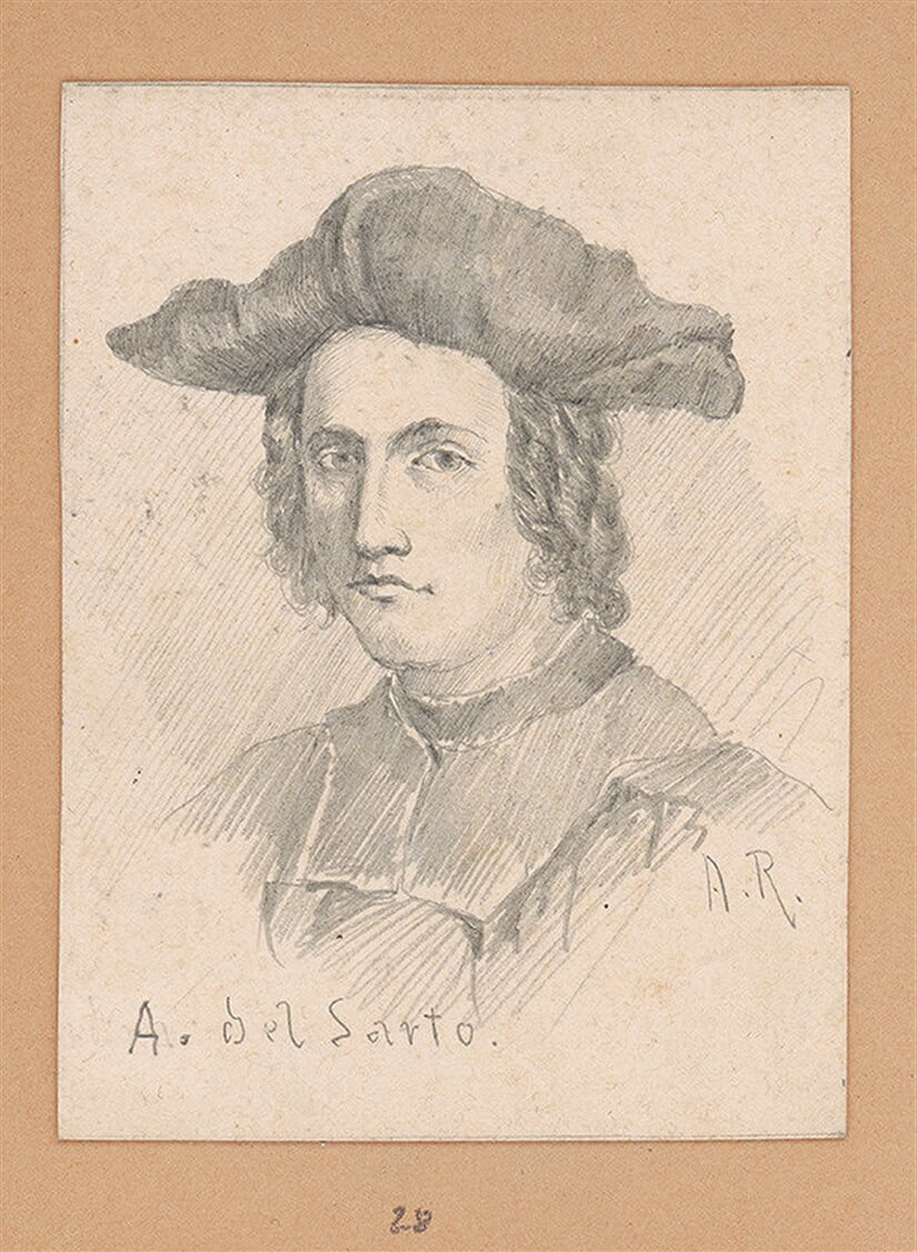 Portrétna štúdia A. del Sarto 